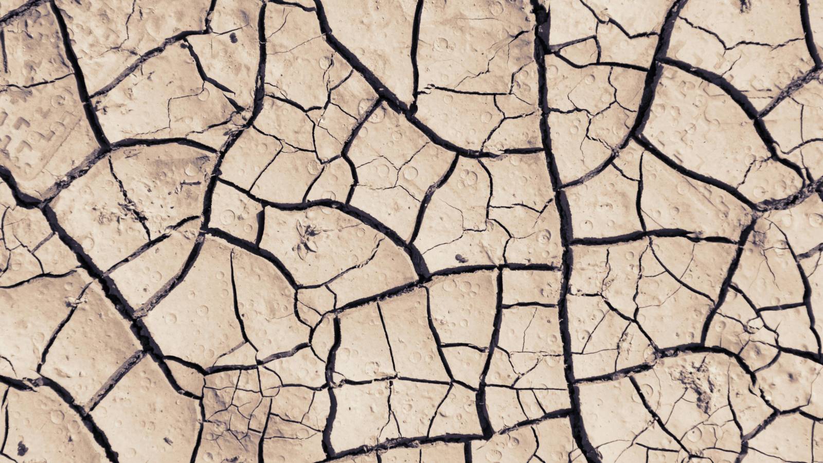 Dry eye and ocular surface instability (placeholder)